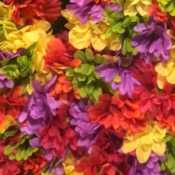 Meet your Posher, Laura - Picture 1 of 1